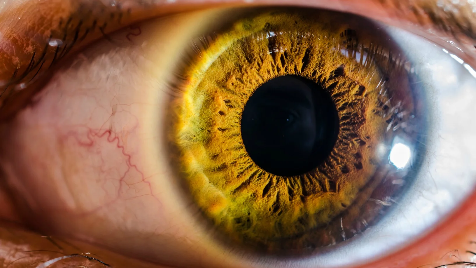 Les profondeurs de l'humain rec&egrave;lent encore de nombreux secrets (Photo:Pixabay.com)